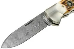 Böker Scout Spearpoint Stag Damascus 112201DAM Stag Horn, Pocket Knife -Knife Shop BO112201DAM 03 boker