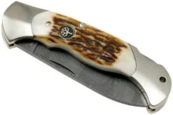 Böker Scout Spearpoint Stag Damascus 112201DAM Stag Horn, Pocket Knife -Knife Shop BO112201DAM 04 boker