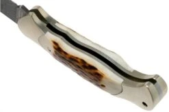 Böker Scout Spearpoint Stag Damascus 112201DAM Stag Horn, Pocket Knife -Knife Shop BO112201DAM 05 boker