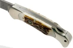 Böker Scout Spearpoint Stag Damascus 112201DAM Stag Horn, Pocket Knife -Knife Shop BO112201DAM 07 boker