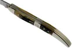 Case Medium Texas Toothpick, Tang Stamp Series, Peach Seed Jig, Olive Green Bone 21515, 610094 SS Pocket Knife -Knife Shop CE21515 06 case