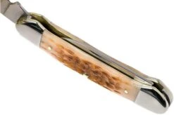 Case Canoe Amber Jigged Bone, 00263, 62131 CV Pocket Knife -Knife Shop CE263 08 case ce263 08
