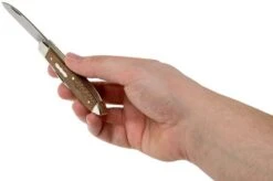 Case Tear Drop Bose Brown Sycamore Wood, 27268, TB72028 SS Pocket Knife -Knife Shop CE27268 05 case