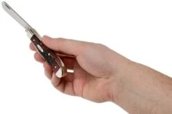 Case Mini Trapper Crimson Red Peach Seed Jigged Bone, 27381, 6207 SS Pocket Knife -Knife Shop CE27381 05 case