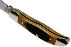 Case Pocket Hunter Dark Molasses Bone, Sawcut, 83142, 61165 SS Pocket Knife -Knife Shop CE83142 05 case