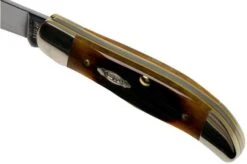 Case Pocket Hunter Dark Molasses Bone, Sawcut, 83142, 61165 SS Pocket Knife -Knife Shop CE83142 06 case