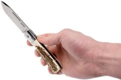 Fallkniven GPs Gentleman's Pocket Knife Stag Horn -Knife Shop FKGPS 08 fallkniven fkgps 08