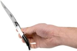 Forge De Laguiole Airbus A350 1211 INAIRBUS Laguiole Knife -Knife Shop LA1211INAIRBUS 07 forge de laguiole