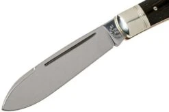 Robert Klaas 95mm Blackwood 4345-1-282 Pocket Knife -Knife Shop RS4345 1 282 03 robert klaas rs4345 1 282 03