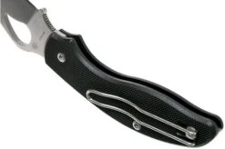 Spyderco Byrd Tern BY23GP Pocket Knife -Knife Shop SPBY23GP 05 spyderco