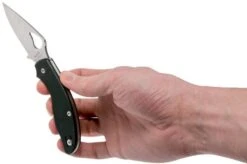 Spyderco Byrd Tern BY23GP Pocket Knife -Knife Shop SPBY23GP 08 spyderco