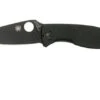 Spyderco Tenacious Black C122GBBKP Pocket Knife