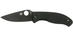 Spyderco Tenacious Black C122GBBKP Pocket Knife