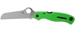 Spyderco Atlantic Salt Green LC200N C89FPGR Pocket Knife