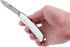 Swiza D04 Swiss Pocket Knife - White -Knife Shop SZD04 WT 08 swiza szd04 wt 08