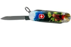Victorinox Classic SD I Love Hiking Limited Edtion 2020 0-6223-L2002 Swiss Pocket Knife -Knife Shop VT0 6223 L2002 03 victorinox