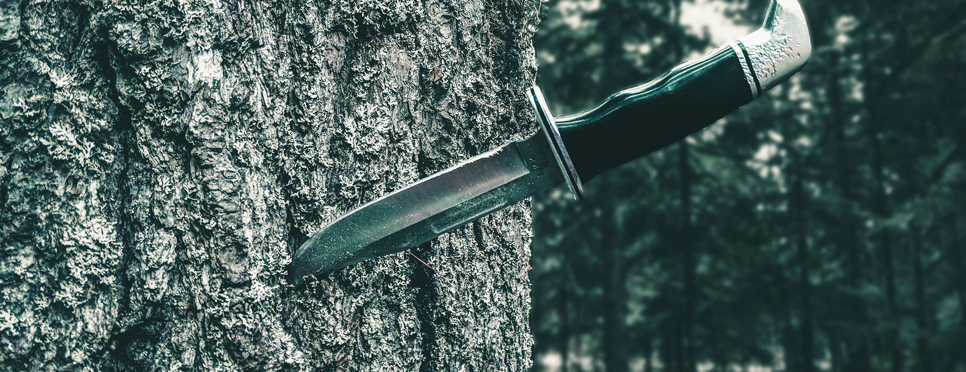 Knife Shop -Knife Shop photo 1588100249820 2a754dc8fcf9